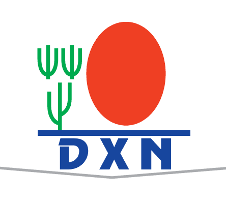 دي اكس ان