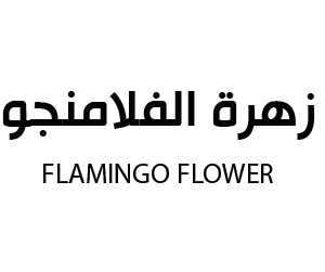 زهرة الفلامنجو