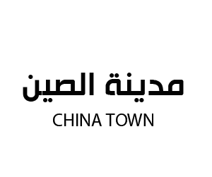 مدينة الصين