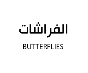 الفراشات