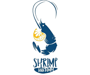 شرمب اناتومي