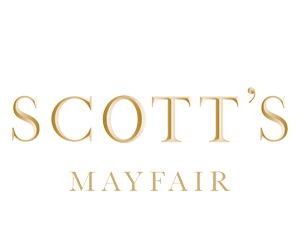 سكوتس scotts